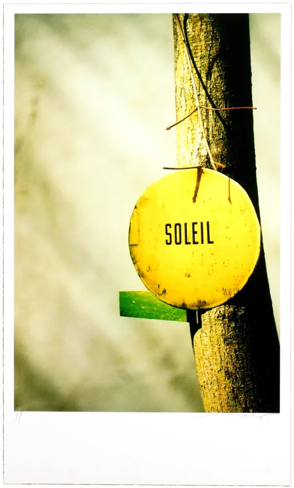 デジタル版画 Leick - Greffes et greffons, II