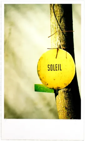 デジタル版画 Leick - Greffes et greffons, II