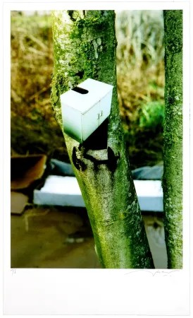 デジタル版画 Leick - Greffes et greffons III