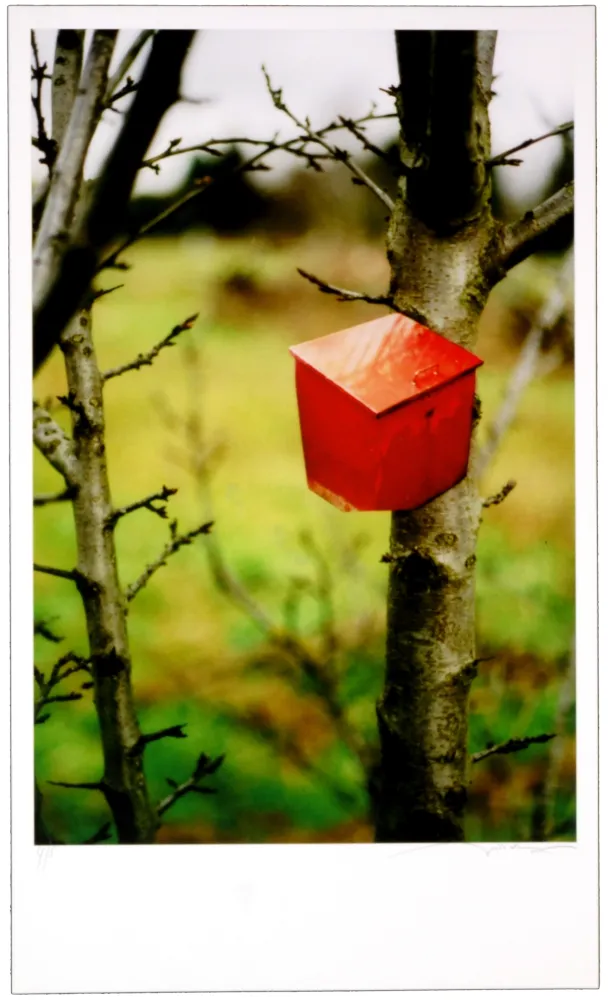 デジタル版画 Leick - Greffes et greffons IV