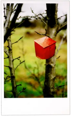 デジタル版画 Leick - Greffes et greffons IV