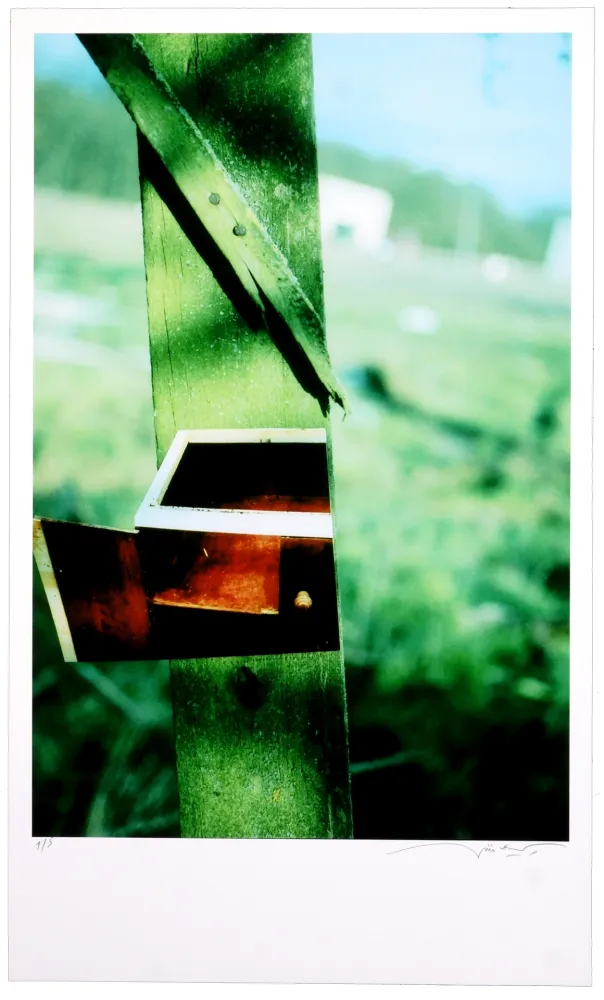 デジタル版画 Leick - Greffes et greffons VI