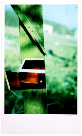 デジタル版画 Leick - Greffes et greffons VI