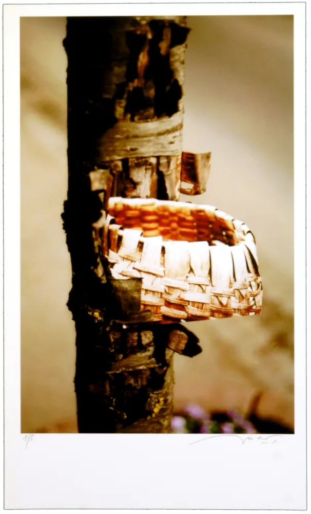 デジタル版画 Leick - Greffes et greffons VIII