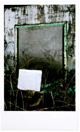 デジタル版画 Leick - Greffes et greffons VIII