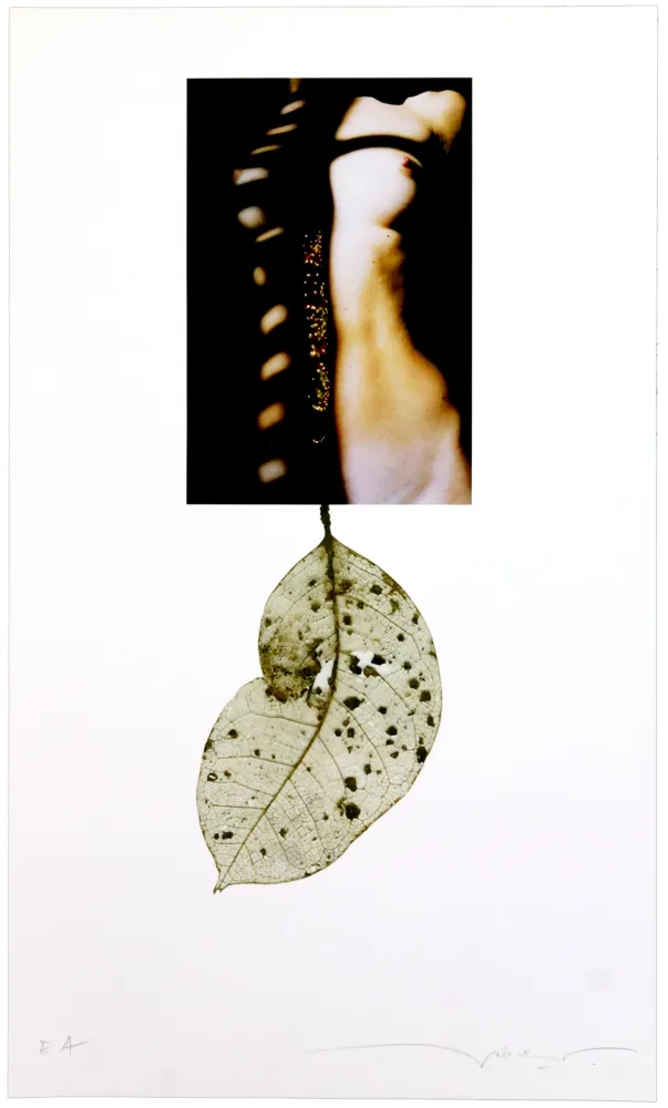 デジタル版画 Leick - Sans titre I