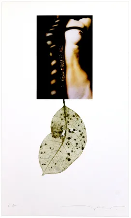 デジタル版画 Leick - Sans titre I