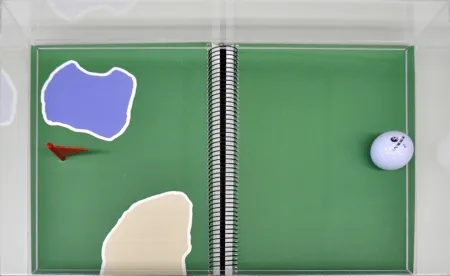 多数の Leirner - Rio 2016 - Golf