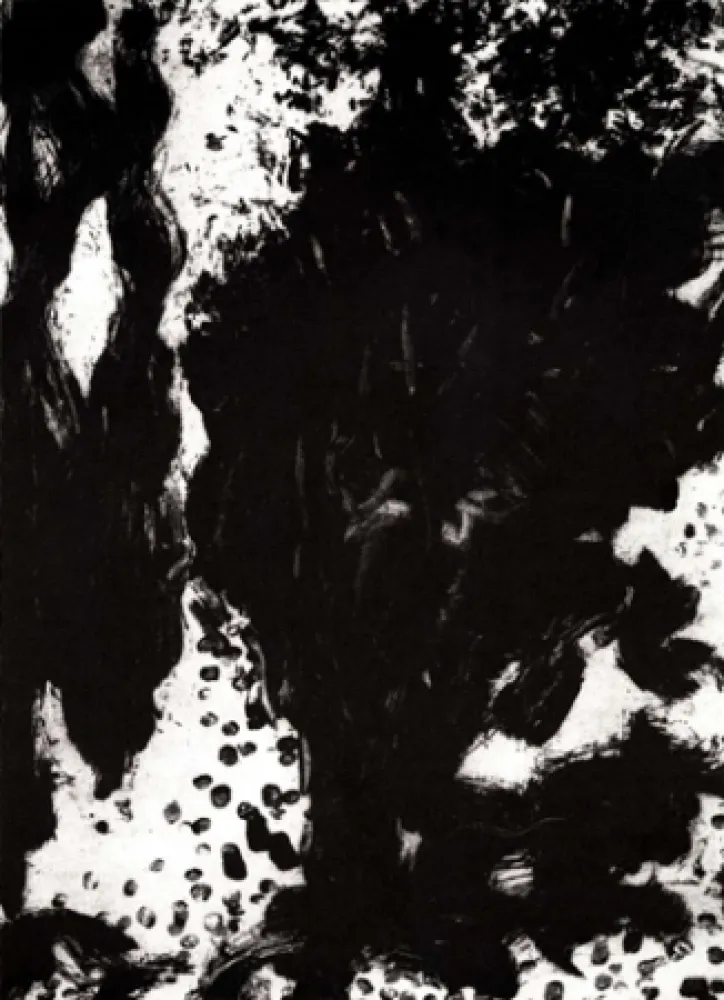 彫版 León - Luz de luna II