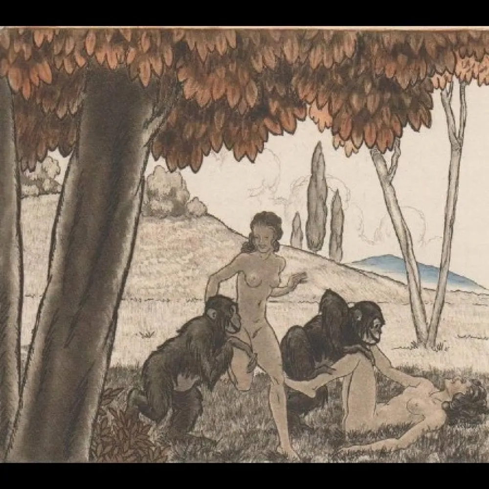 挿絵入り本 Leroy  - Candide, ou l'optimisme