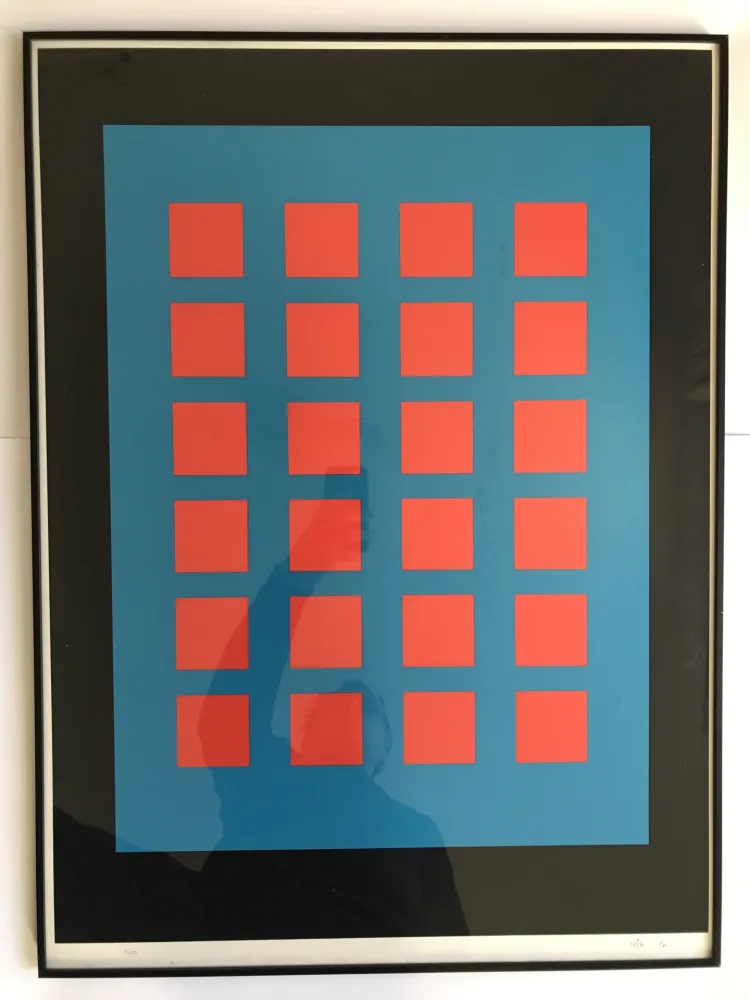 シルクスクリーン Leviant - Magic Chips