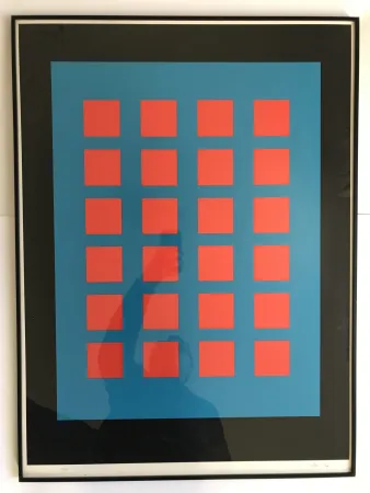 シルクスクリーン Leviant - Magic Chips