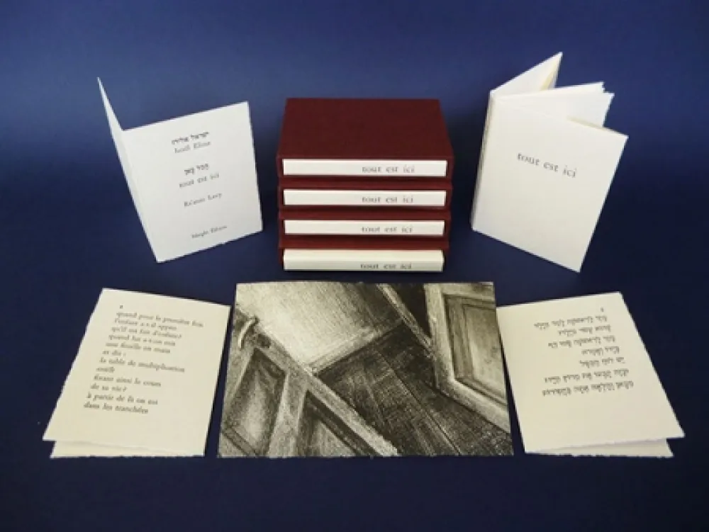 挿絵入り本 Levy - Tout est ici