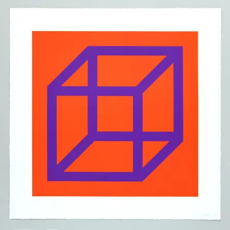 技術的なありません Lewitt - Open Cube in Color on Color Plate 29