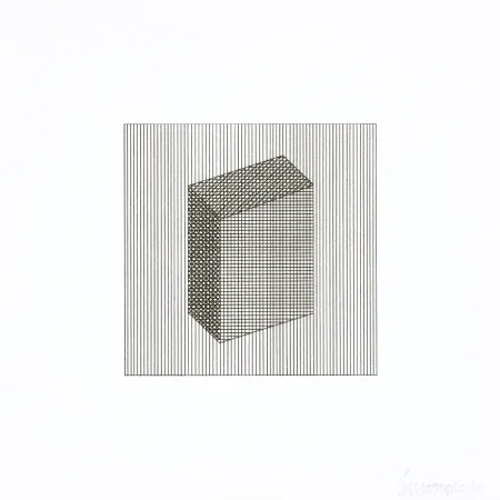 シルクスクリーン Lewitt - Twelve Forms Derived From a Cube 18