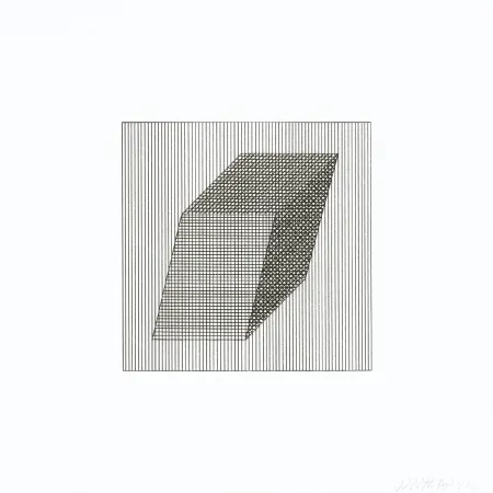 シルクスクリーン Lewitt - Twelve Forms Derived From a Cube 20