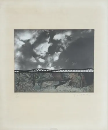 多数の Lichtenstein - Fish and Sky
