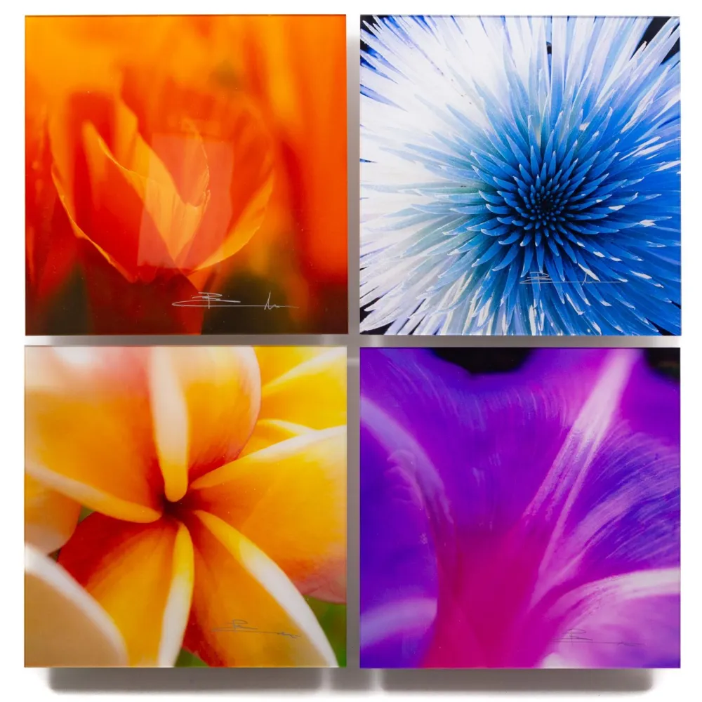 写真 Lik - Flowers of Paradise