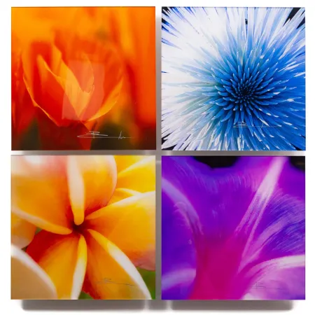 写真 Lik - Flowers of Paradise