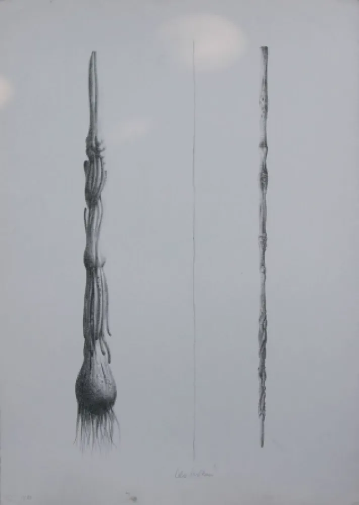 リトグラフ Lionni - Due Solee