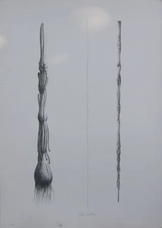 リトグラフ Lionni - Due Solee