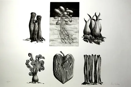 リトグラフ Lionni - Senza titolo