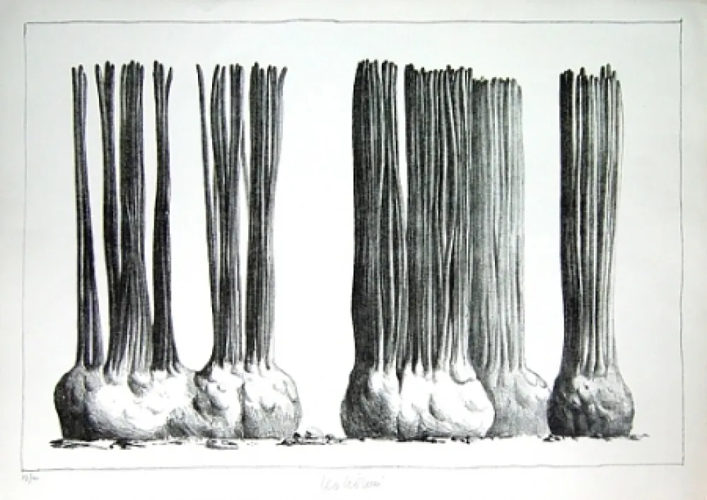 リトグラフ Lionni - Taluma trillosa