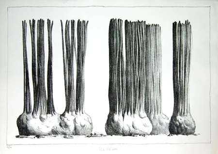 リトグラフ Lionni - Taluma trillosa