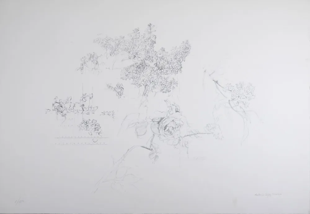 リトグラフ López Garcia - Composition