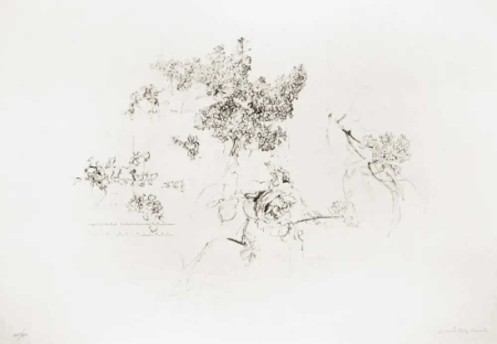 リトグラフ López Garcia - Olympic Centennial