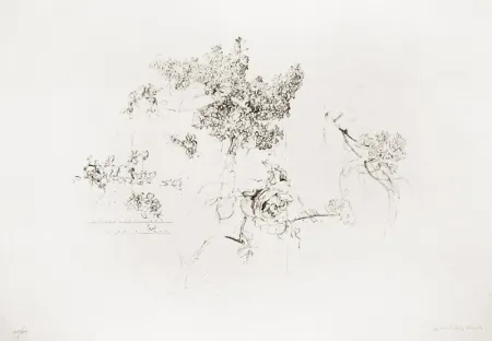 リトグラフ López Garcia - Olympic Centennial