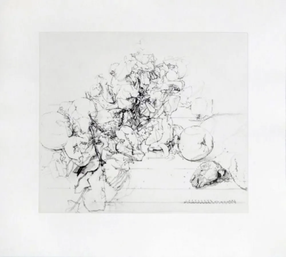 エッチングと　アクチアント Lopez - Membrillos, granadas y cabeza de conejo