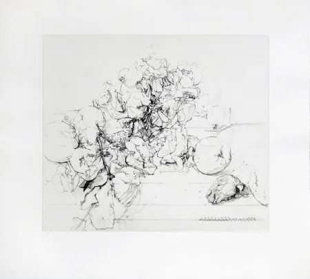 エッチングと　アクチアント Lopez - Membrillos, granadas y cabeza de conejo