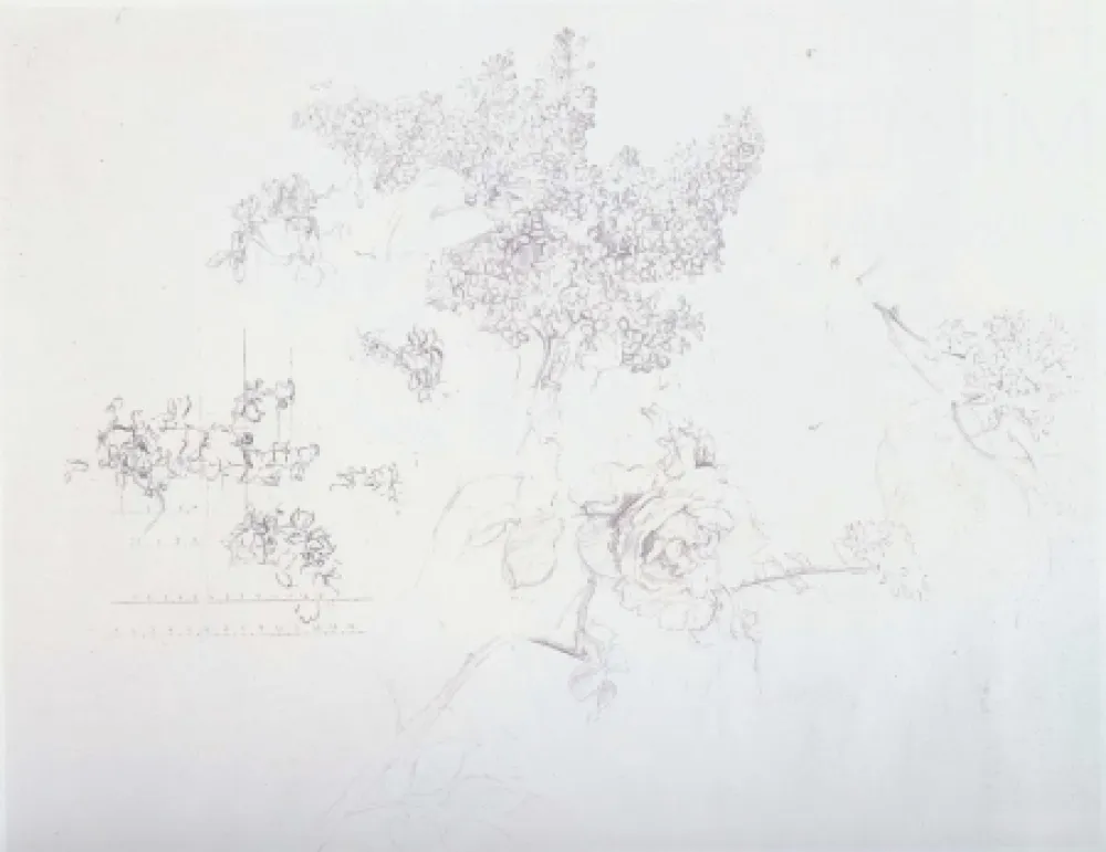 リトグラフ Lopez - Olympic Centennial