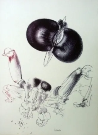 リトグラフ Lunven - Sans titre