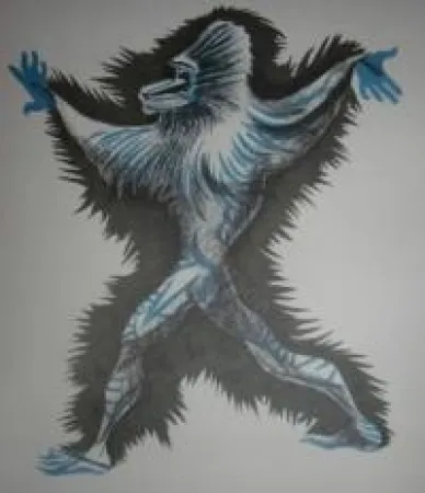 挿絵入り本 Lurcat - Géographie animale