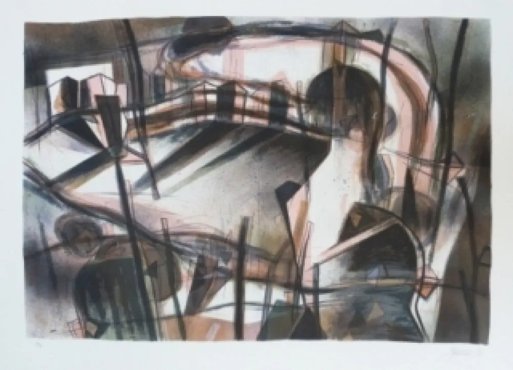 リトグラフ Macotela - Paseo interior