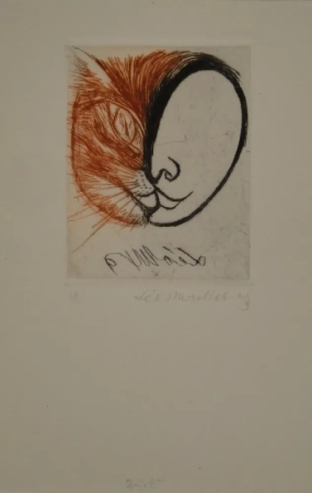 挿絵入り本 Maillet - Léo Maillet Peintre-Graveur