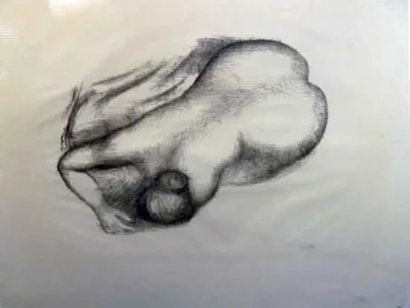 リトグラフ Maillol - Torso