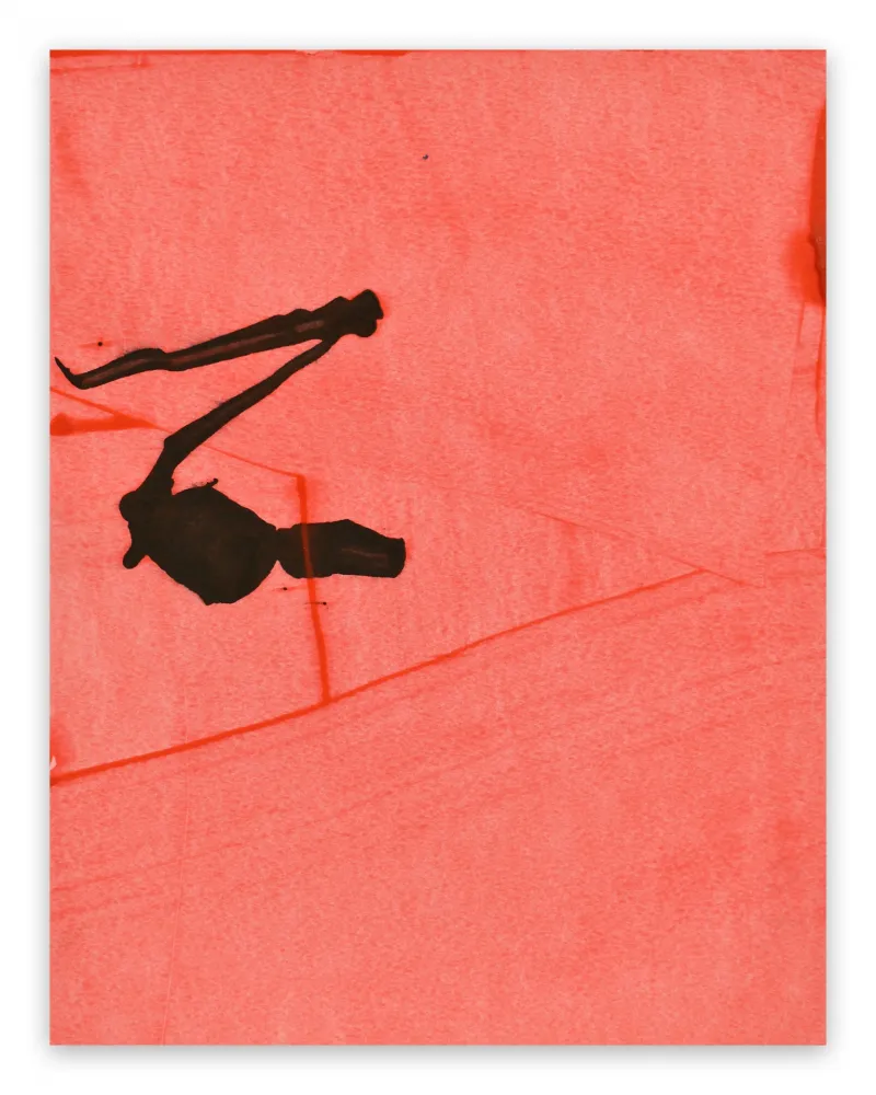 技術的なありません Maine - Frankly Scarlet 30