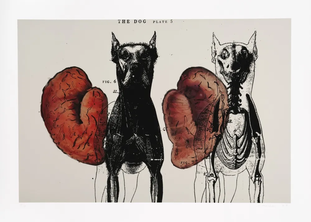 デジタル版画 Malani - Stress of recall (The)