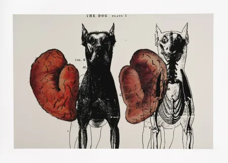 デジタル版画 Malani - Stress of recall (The)