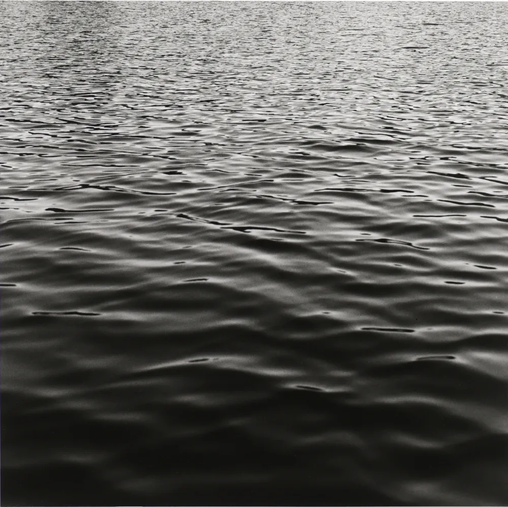 写真 Mapplethorpe - Lake Memphramagog