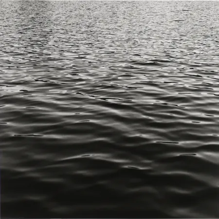 写真 Mapplethorpe - Lake Memphramagog