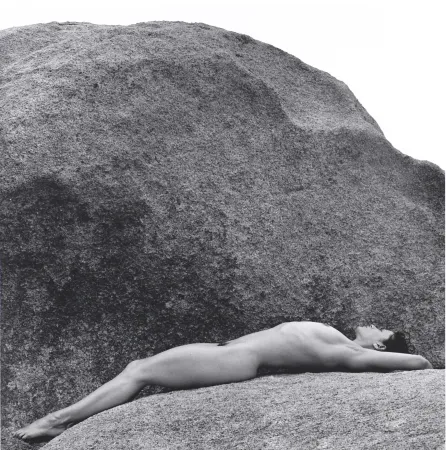 写真 Mapplethorpe - Lisa Lyon 01