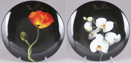 多数の Mapplethorpe - Poppy & Orchid