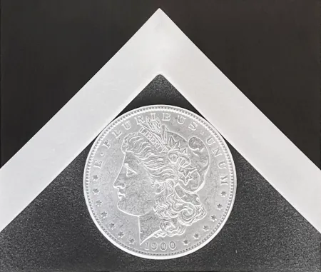 写真 Mapplethorpe - Silver Dollar
