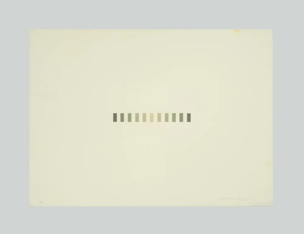 エッチングと　アクチアント Marchegiani - Grammature (C)