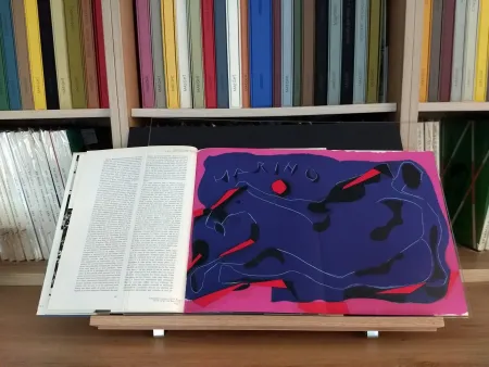 挿絵入り本 Marini - Hommage