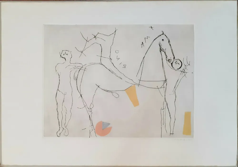 アクチアント Marini - Teatrino